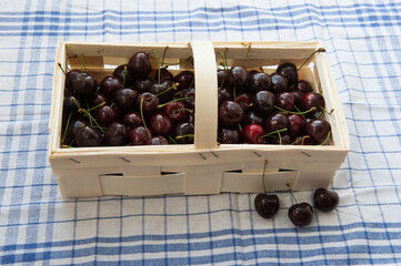 Frisch gepflückte Kirschen,
2 kg Kirschen im Spankorb,
