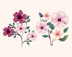 set of flowers, branches with leaves, nature decoration