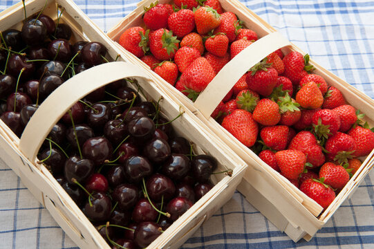 Frisch gepfl&uuml;ckte Erdbeeren und Kirschen im Spankorb,
