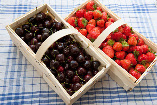 Frisch gepfl&uuml;ckte Erdbeeren und Kirschen im Spankorb,
