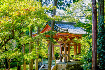 京都　醍醐寺