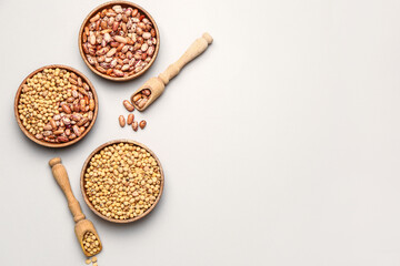 Different raw legumes on white background
