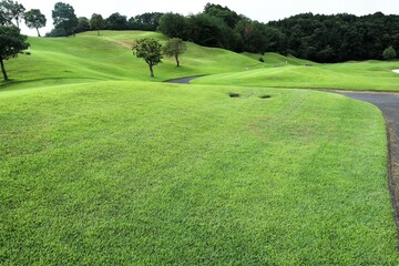 夏のゴルフ場