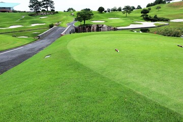 Fototapeta premium 夏のゴルフ場