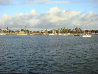 Obraz premium view of the beach