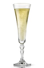 Champagne Glass