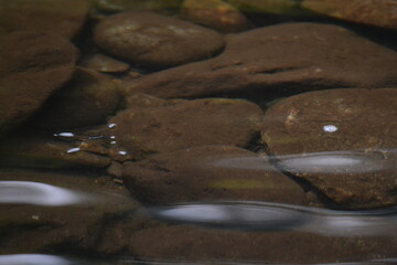 Beauty in the Smokies