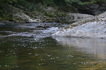 Beauty in the Smokies