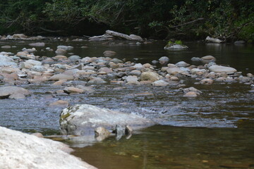 Beauty in the Smokies