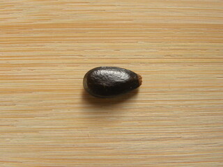 Obraz na płótnie Canvas Black color dry seed of Sugar apple or Sweetsop fruit