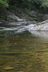 Beauty in the Smokies