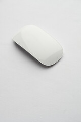 white mouse, tilt view, white background