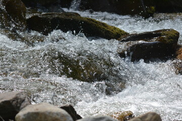 Beauty in the Smokies