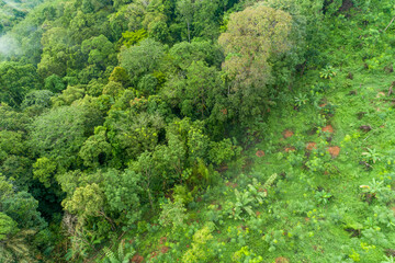 Fototapeta na wymiar Aerial high angle view top down rainforest trees Ecosystem and healthy environment background.