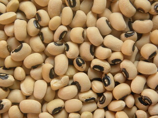 White color raw whole Black eyed peas