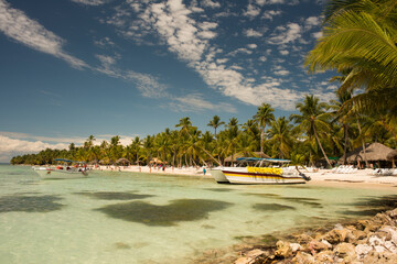 Fototapeta na wymiar Playa, mar, caribe, palmeras