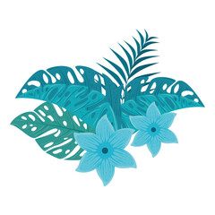 Fototapeta premium flowers blue color, with branch and tropical leaves on white background