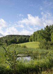 Fototapeta premium colourful rural landscape with greens and blue and pond water