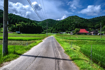 田舎道