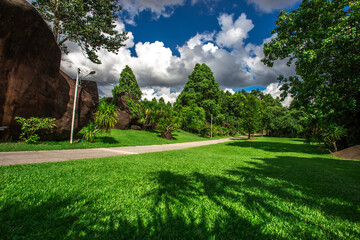 Naklejka premium Natural background in the park with many kinds of plants, large stones, allow tourists to stop and take photos while traveling, the beauty of the ecosystem