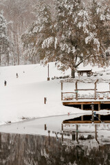 winter in the park with lake