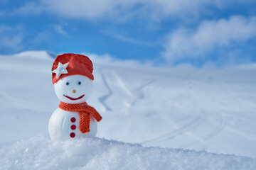 Image of a snowman. Handiwork.