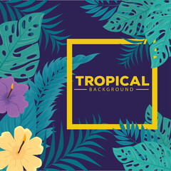 tropical background, hibiscus yellow and purple color, with branches and leaves plants