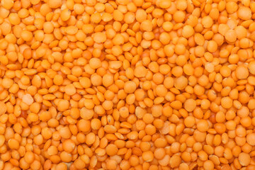 Heap of raw lentils as background