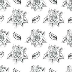 rose hand drawn pattern premium vector