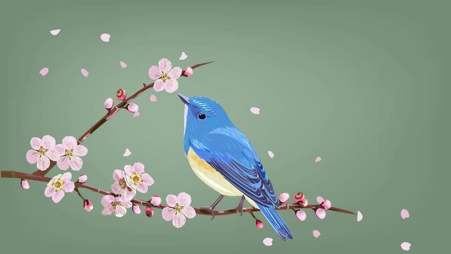 梅の花と青い鳥