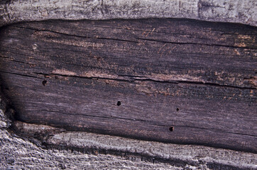 Black pattern of dried heartwood of trunk in the bark