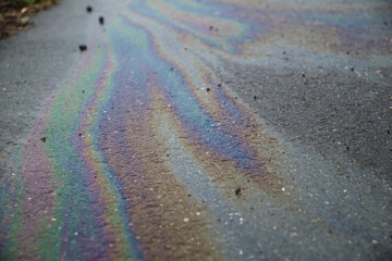 The rainbow river on the road