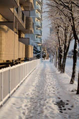 Obraz premium 冬道の風景