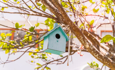 birdhouse nestles hanging on tree