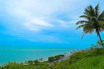 Fototapeta na wymiar Quiet beach with coconut tree in Porto Seguro in Bahia, Brazil