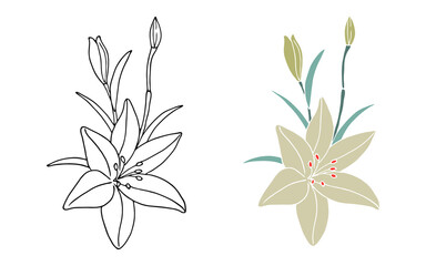 bouquet of flowers, Continuous line drawing vector. Hand drawn flowers and buds in line art style. Graphical flower illustration. green flower, white flower, contour flower, bloom flower, decorative f