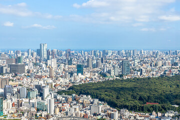 東京都庁南展望台から見た　東京の街並み