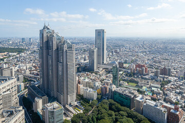 Naklejka premium 東京都庁南展望台から見た 東京の街並み