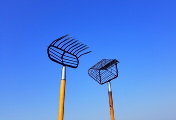 Two different size of clamming rake and shovel