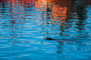 reflection of fishing boats on the blue water of the port of Mar del Plata
