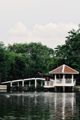 Fototapeta na wymiar Puente en un lago 