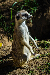 Things are looking up