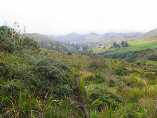 mountainous field