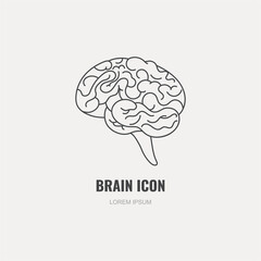 Vector line illustration. The human brain. Isolated on gray background.