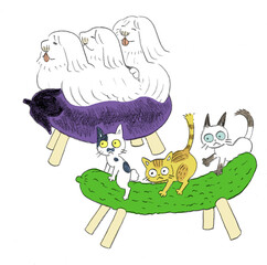 いぬねこおぼん
