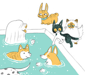 プールと犬たち