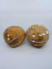 Fresh Coconut in White Photo Stock