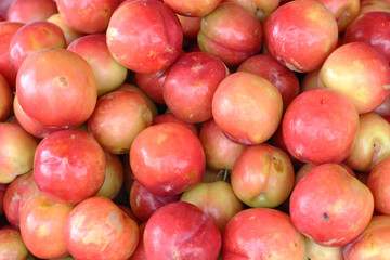 plums on white background