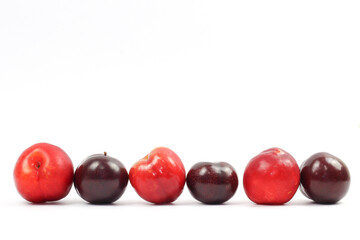 plums on white background