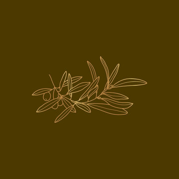 golden olive branch on dark background clip art preview